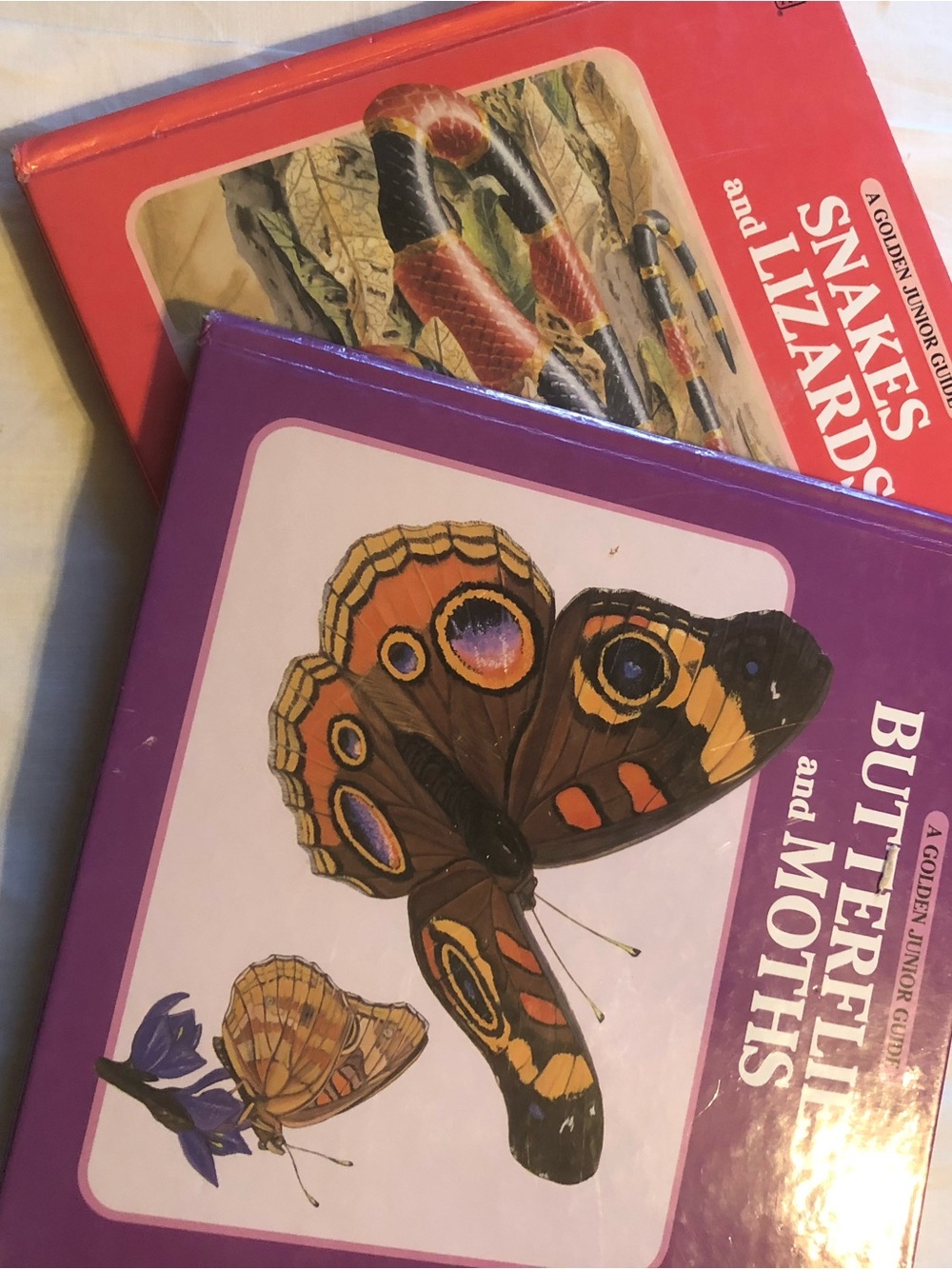 Butterflies and Moths and Snakes and Lizards Kids Books